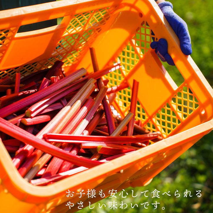 Tasshas 無農薬栽培 ルバーブジャム（パウチタイプ） 北海道産 160g