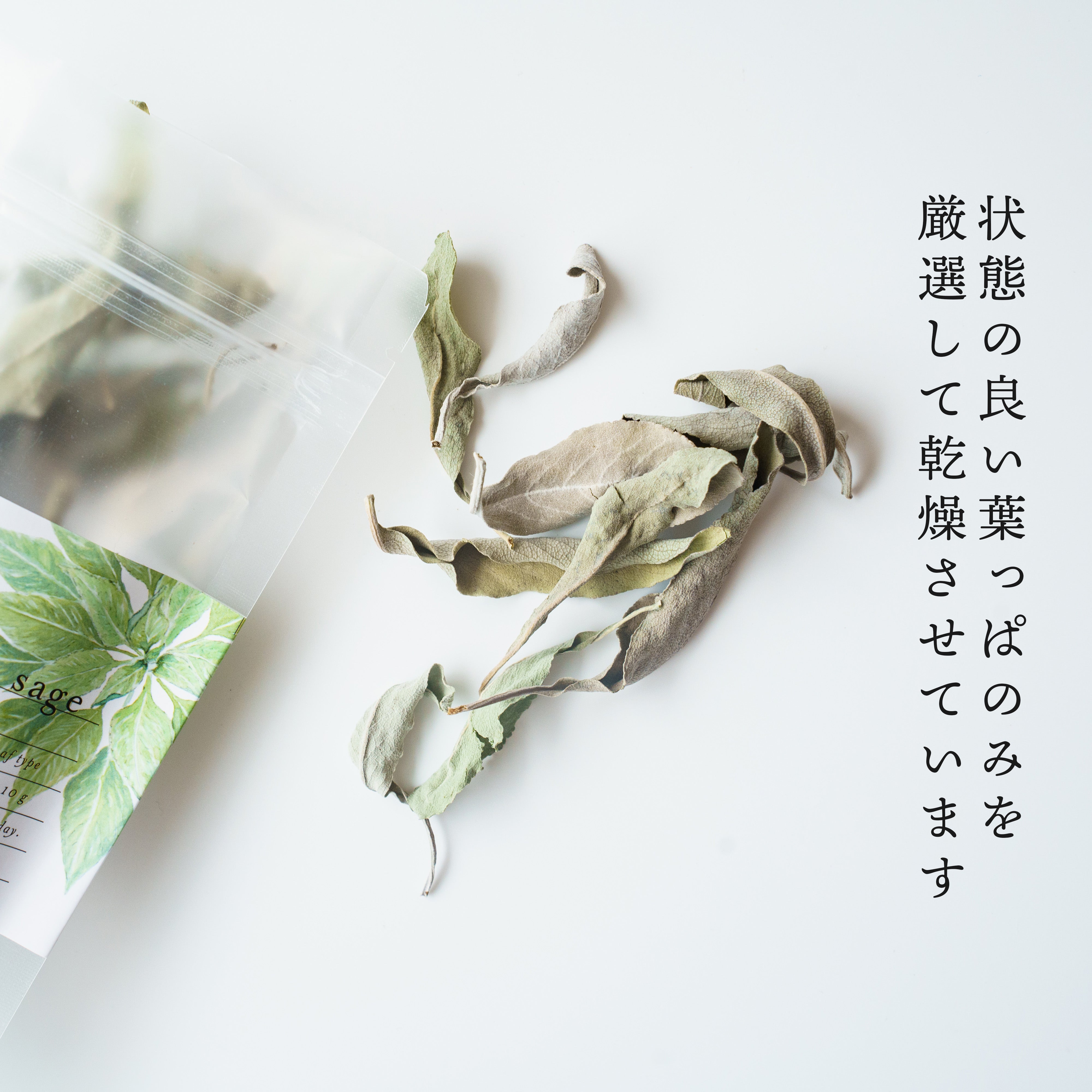 北海道産 無農薬栽培 ホワイトセージ 10g – Hammy's Online Store