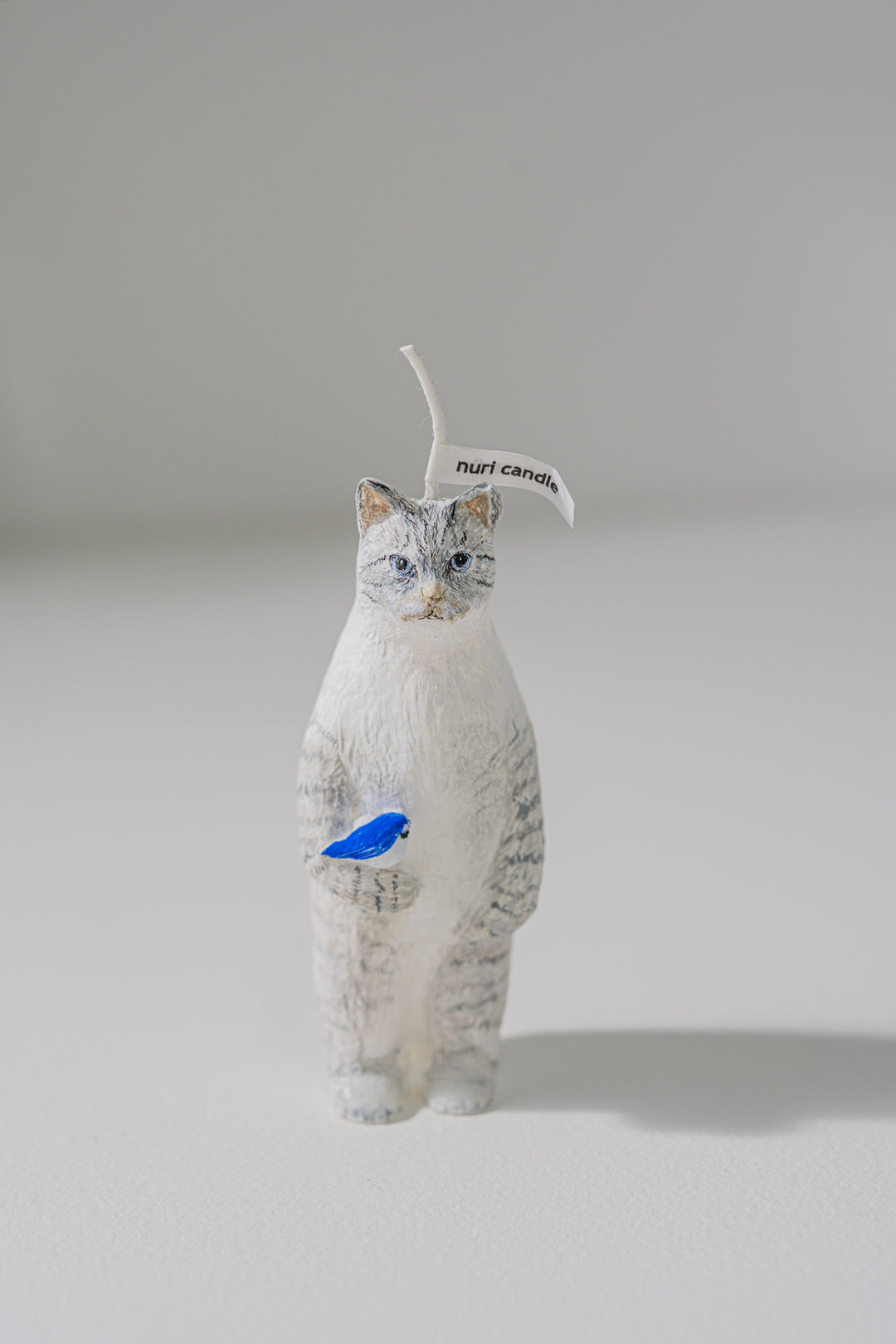 2.nuri candle 猫