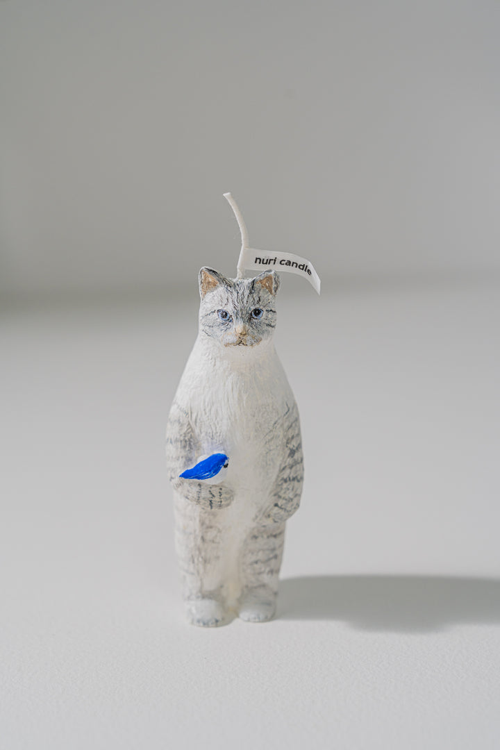 2.nuri candle 猫