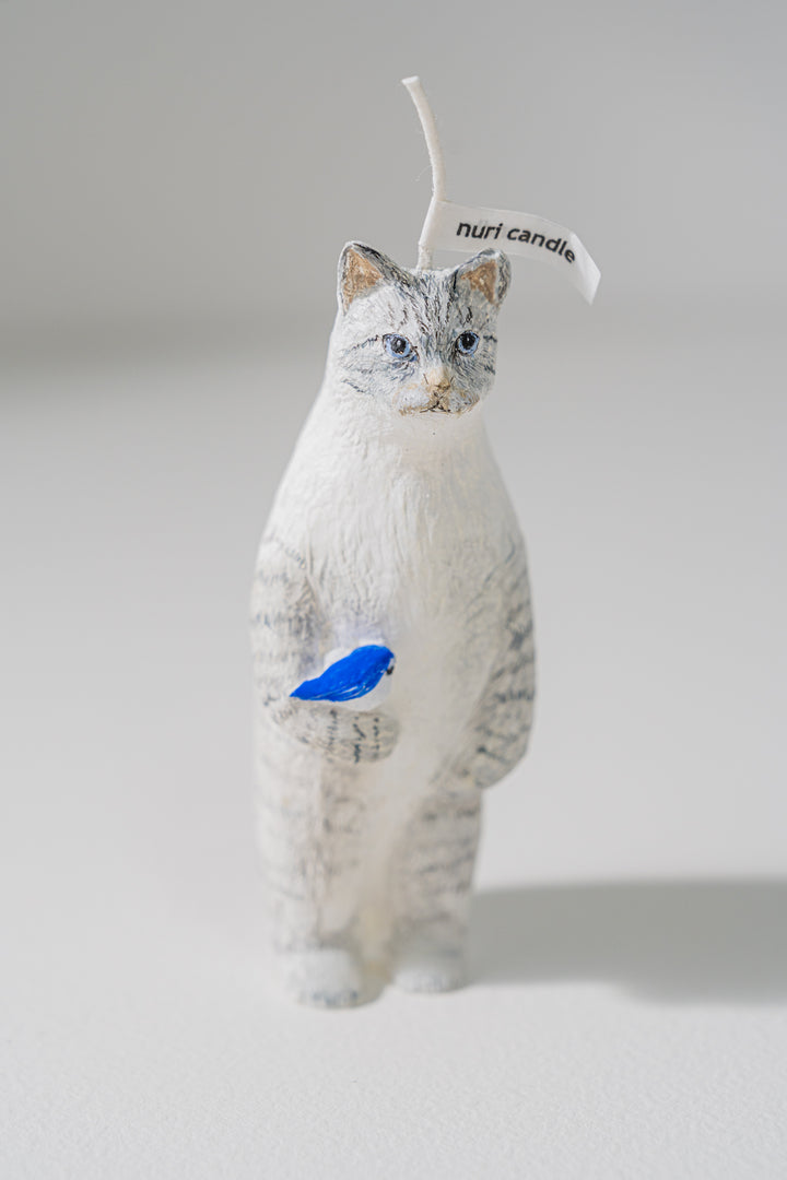 2.nuri candle 猫