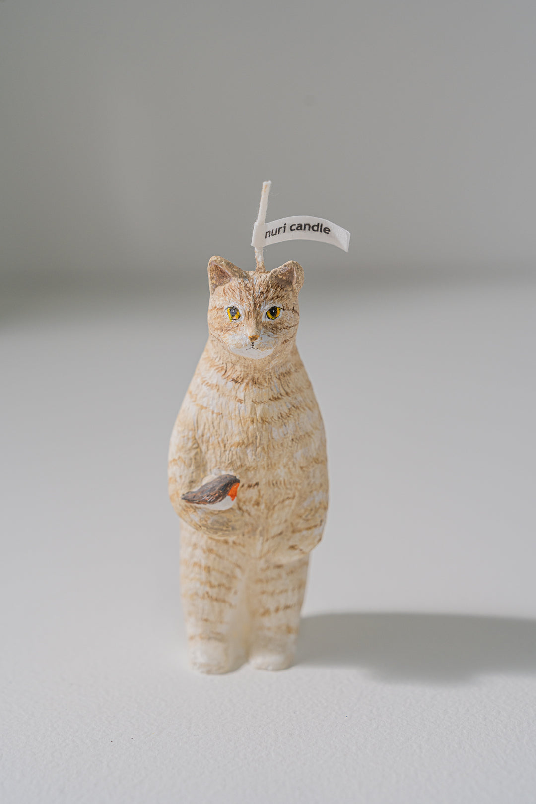 2.nuri candle 猫