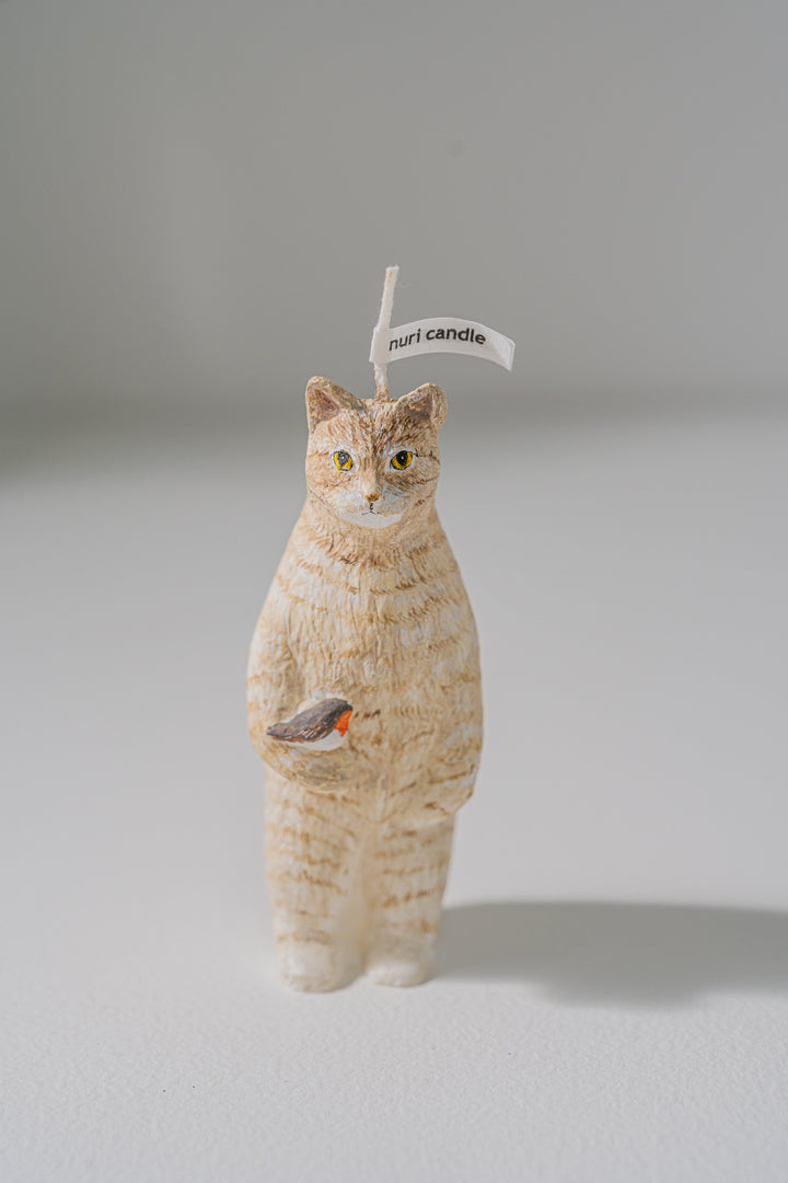 2.nuri candle 猫