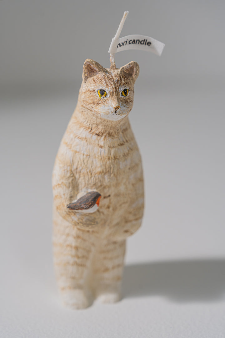 2.nuri candle 猫