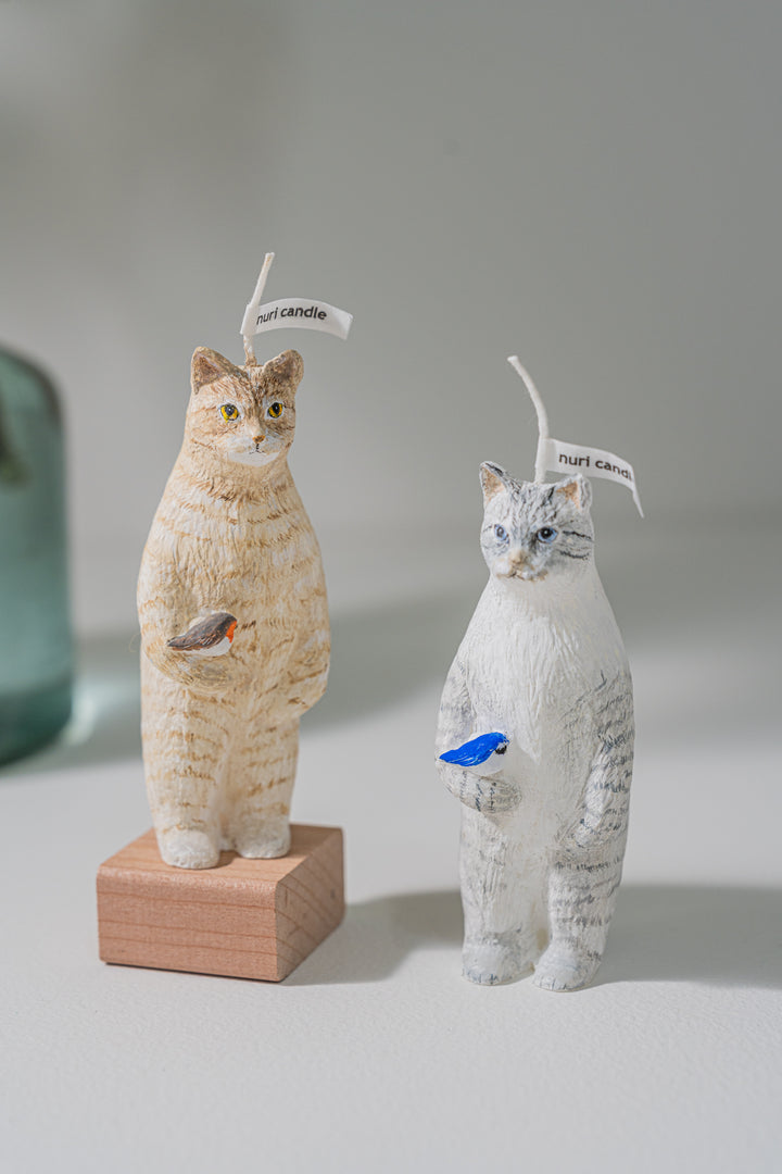 2.nuri candle 猫